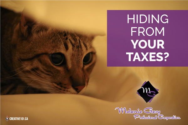Reasons why your shouldn't avoid filing your tax returns. Reasons why your shouldn't avoid filing your tax returns.